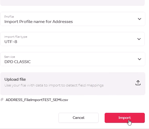 CSV import dialog